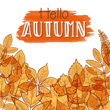 Background with colorful transparent skeleton autumn leaves, hello autumn. Vector