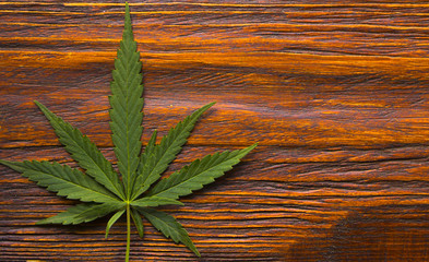 Hemp sheet on a tree texture background