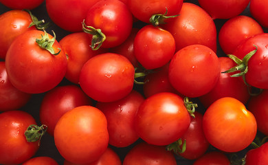 A top view, aerial view of a tray of bright red ripe tomatoes.