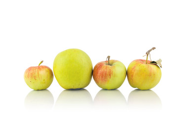 Fresh Tasty Apples In Line Isolated On White Background With Reflection