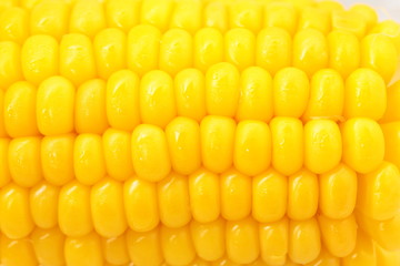 トウモロコシ とうもろこし コーン 粒