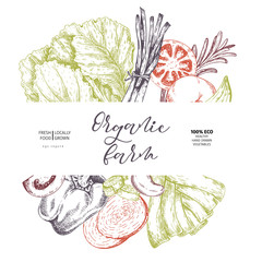 Vector hand drawn farm vegetables. Round border composition. Tomato, onion, cabbage, pepper, leek. Engraved art. Organic sketched vegetarian objects.