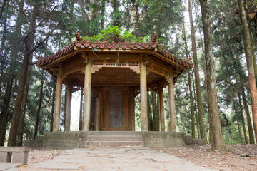 Traditional Chinese style pavilion in forrest