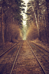 Fototapeta premium Tram rails in the autumn forest, vintage hipster background. Travel, freedom and hope concept.