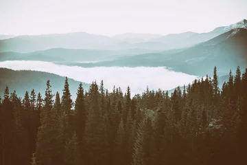 Papier Peint photo Lavable Forêt dans le brouillard Foggy morning landscape with mountain range and fir forest in hipster vintage retro style