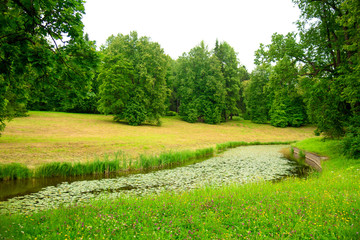 Shows the river, green trees, grass and sky.