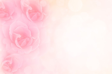 Fototapeta premium miękkie różowe róże kwiat tło z miejsca na kopię