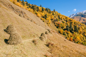 autumn landscape of the mountains in Georgia