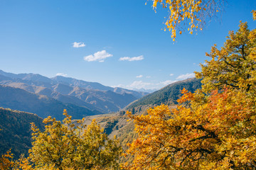 autumn landscape of the mountains in Georgia