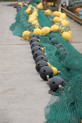 Fischnetz