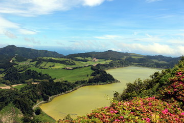 Yellow lake and azaleas on the slope. San Miguel.Azores