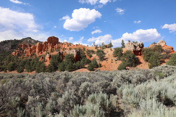 Red Canyon in Dixie National Forest. Utah. USA