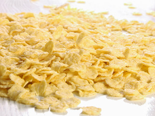 Oat flakes close-up. Healthy lifestyle
