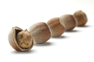 Hazelnuts isolated on a white background