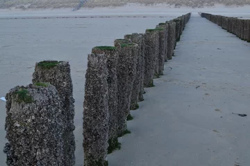 Fotobehang golfbreker op het strand bij de Westerschelde in Zeeland © henkbouwers