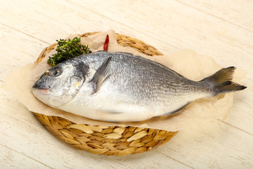 raw dorada fish