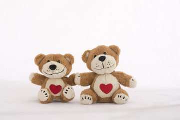 Couple Teddy Bears  on white background