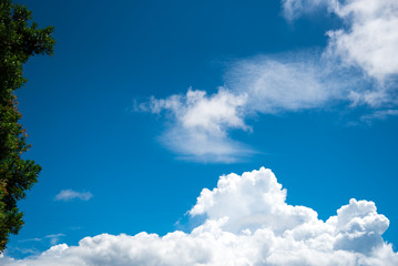 Obraz premium 田舎の風景