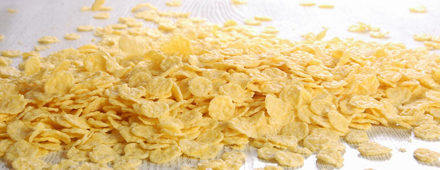 Oat flakes close-up. Healthy lifestyle
