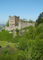 Fototapeta premium Ruine Schauenburg bei Oberkirch