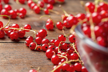 Red currant is scattered