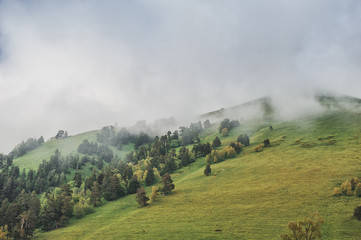Beautiful landscape with meadow valley and clouds