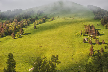 Beautiful landscape with meadow valley and clouds