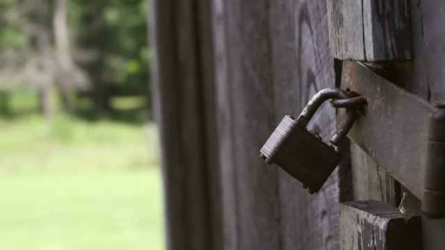 Metallic Rusty Lock on a Barn Door in Summer daylight