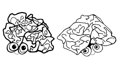 Two funny, cartoon, human brain, isolated on white background.