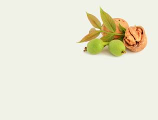 Walnut and walnut kernel