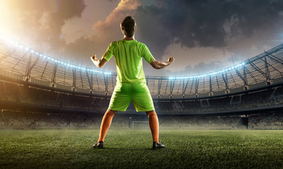 Fototapeta na wymiar soccer player on a field celebrates goal