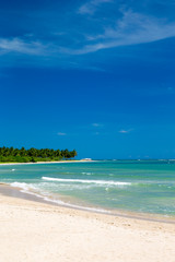 Obraz premium beach and tropical sea