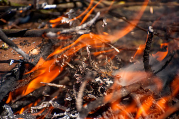Ignite the fire. Macro shot of bonfire, white smoke, hot, glowing coal and fire. Burning branches and wood. Flames in fireplace, cozy home, warmth, love, romantic. Spring cleaning, gardening, picnic