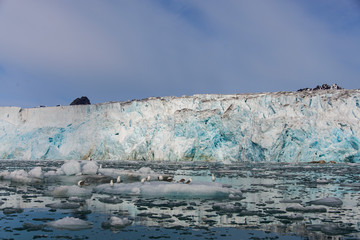 Arctic landscape