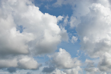 Fototapeta premium The sky is a small cloud floating in the sky.