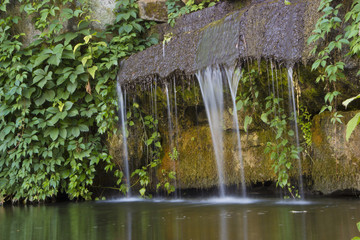 A small waterfall in a overgrown park