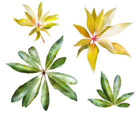  Tropical plants elements. yellow and green wild herb,  branches with leaves, illustration isolated on white background, exotic. watercolor style.