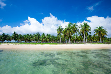 tropical beach with palm trees and blue lagoon