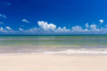 beach and tropical sea