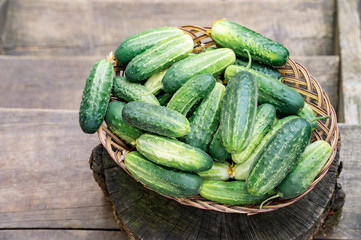 Wicker plate full of fresh cucumbers. On textured old wood background. Top view