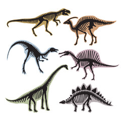 Skeleton of dinosaurs. Vector silhouette of tyrannosaurus, diplodocus and others wild animals