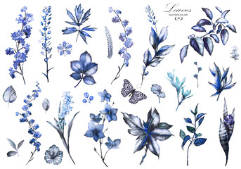 Big Set watercolor elements - wildflowers, herbs. collection garden and wild herb, flowers, branches.  illustration isolated on white background, eucalyptus, exotic, tropical leaf. blue Butterfly