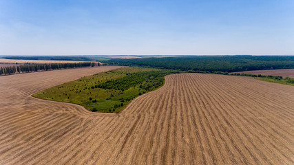 Fototapeta na wymiar Aerial view of the yellow and green fields.