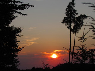 Obraz premium Couché de soleil en foret