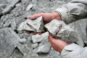 belemnite fossil in chalk rock quarry. - obrazy, fototapety, plakaty