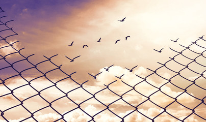 Chainlink fence with Hole against a Cloudy Blue Sky and Birds, Fight for Better Life concept,Think out of the box concept - obrazy, fototapety, plakaty