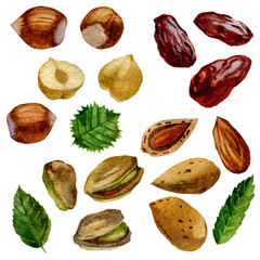 Watercolor illustration. Set of nuts and dates. Pistachios, almonds, hazelnuts and dates.