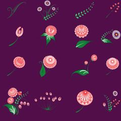 Slavic folk traditional native floral ornament element set