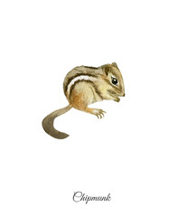 Handpainted watercolor poster with chipmunk