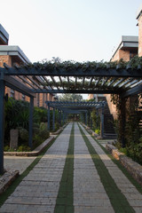 Walkway with landscaping in Gurgaon, Haryana (India). Vertical shot.